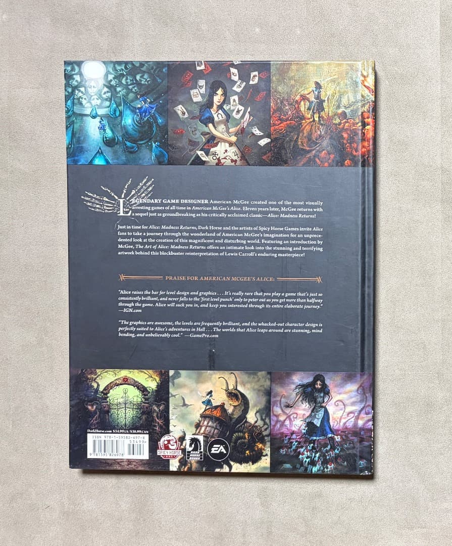 洋書版 The Art of Alice the Madness Returns