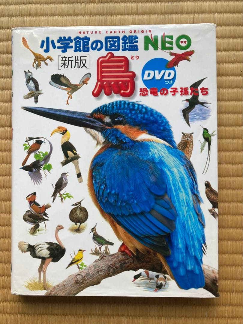 小学館の図鑑NEO 全9冊 DVD付き