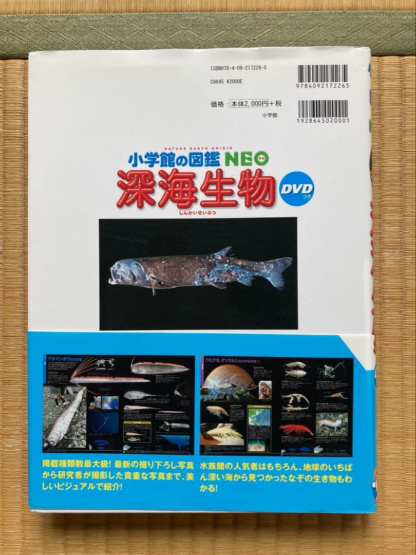 小学館の図鑑NEO 全9冊 DVD付き