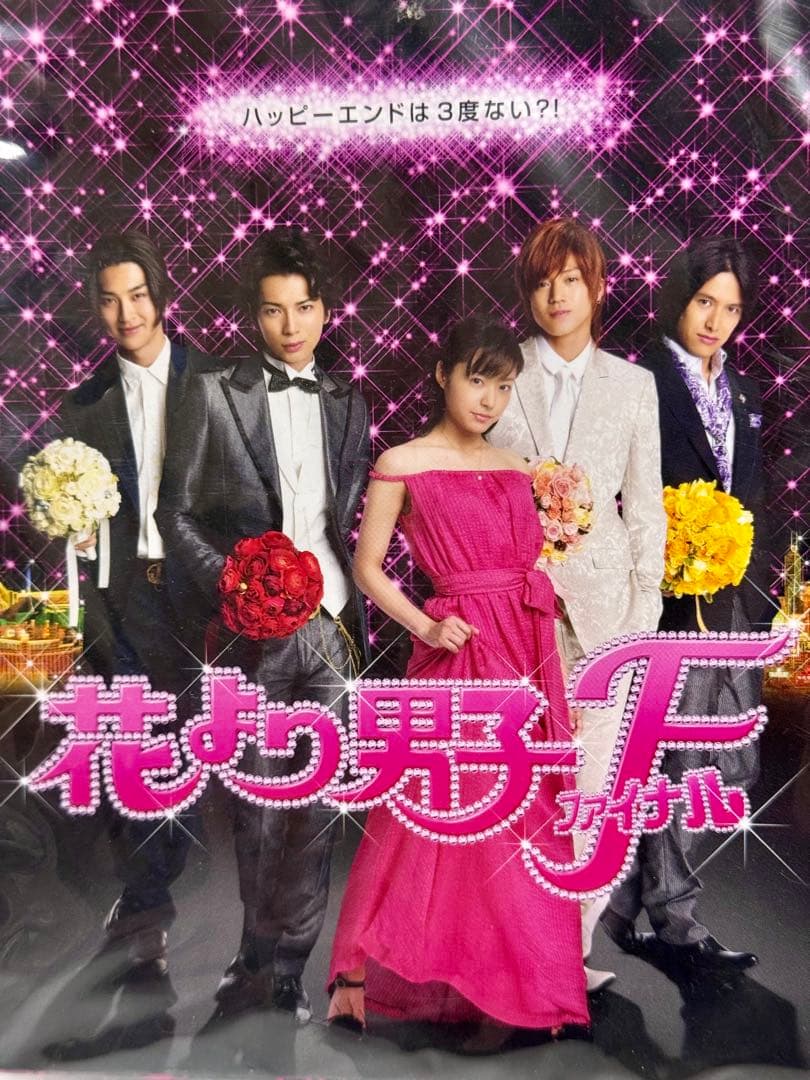 嵐花より男子ファイナル初回生産限定プレミアムエディションDVDパンフレットセット