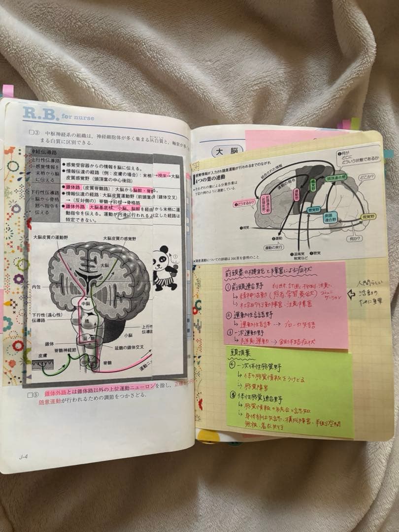 看護国家試験　レビューブック　合格