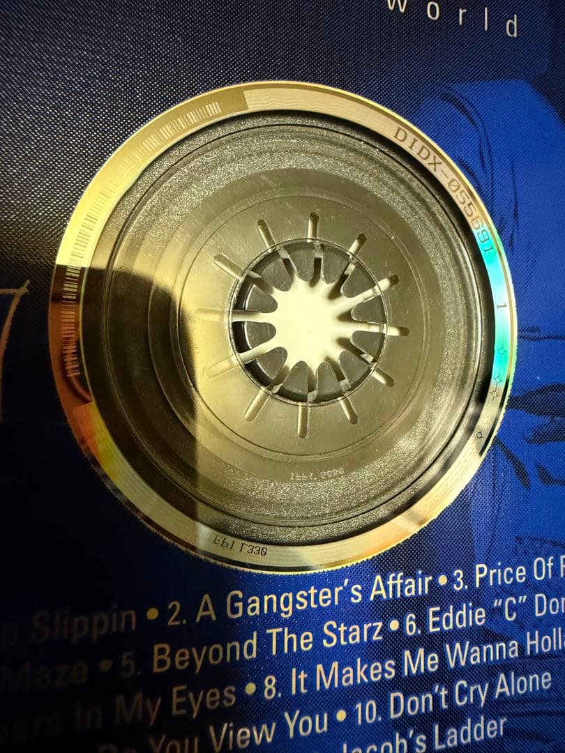 洋楽 Swolts / Forever, Tha World OG