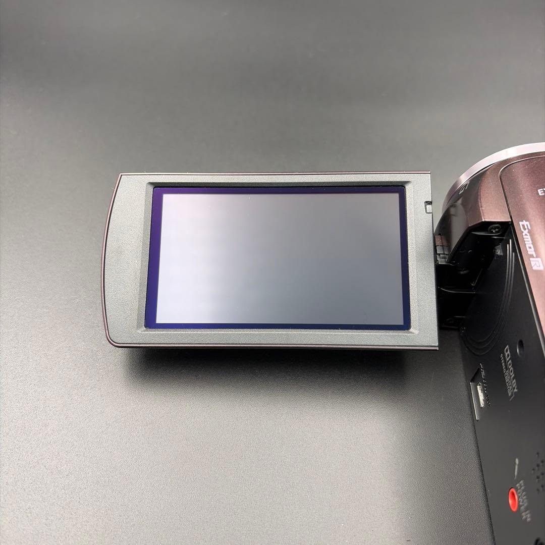 SONY HDR-CX390 ビデオカメラ ブラウン