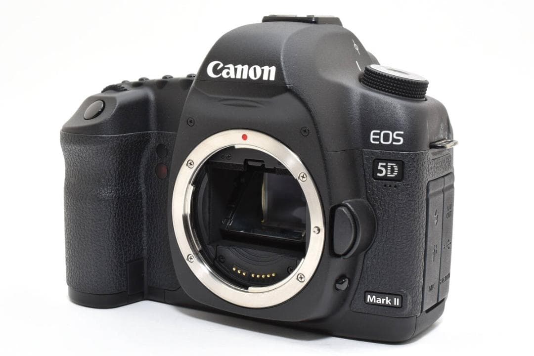 ショット数: 1456回 Canon EOS 5D Mark II #956