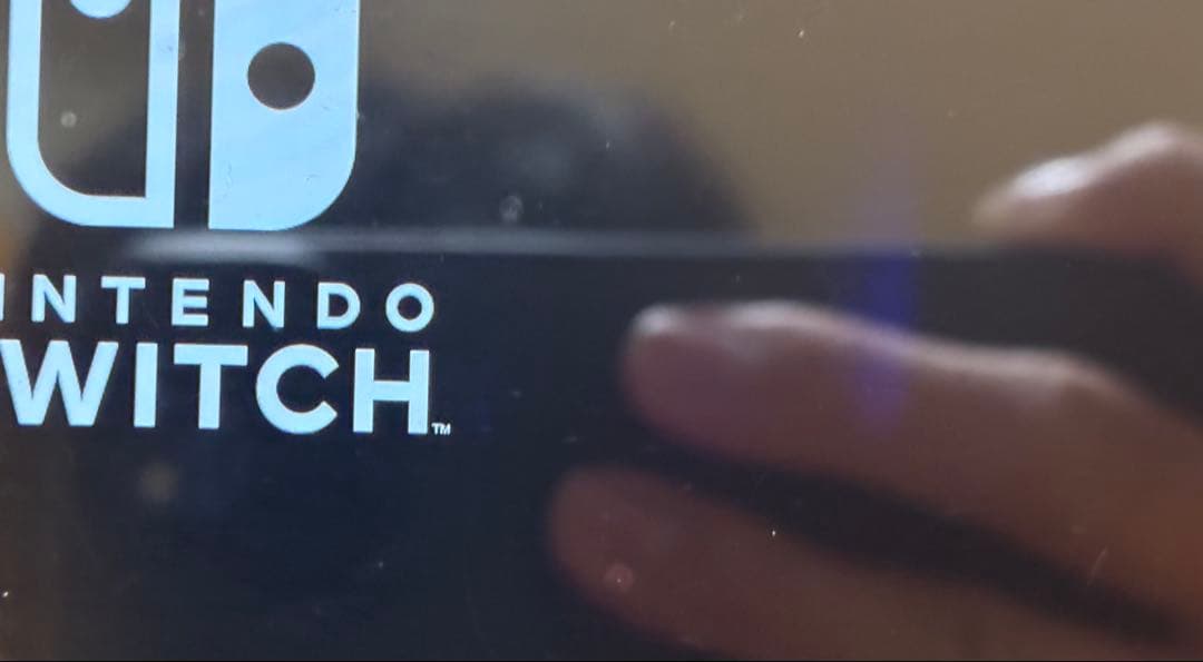 【動作確認済】Nintendo switch ニンテンドースイッチ　※説明欄必読