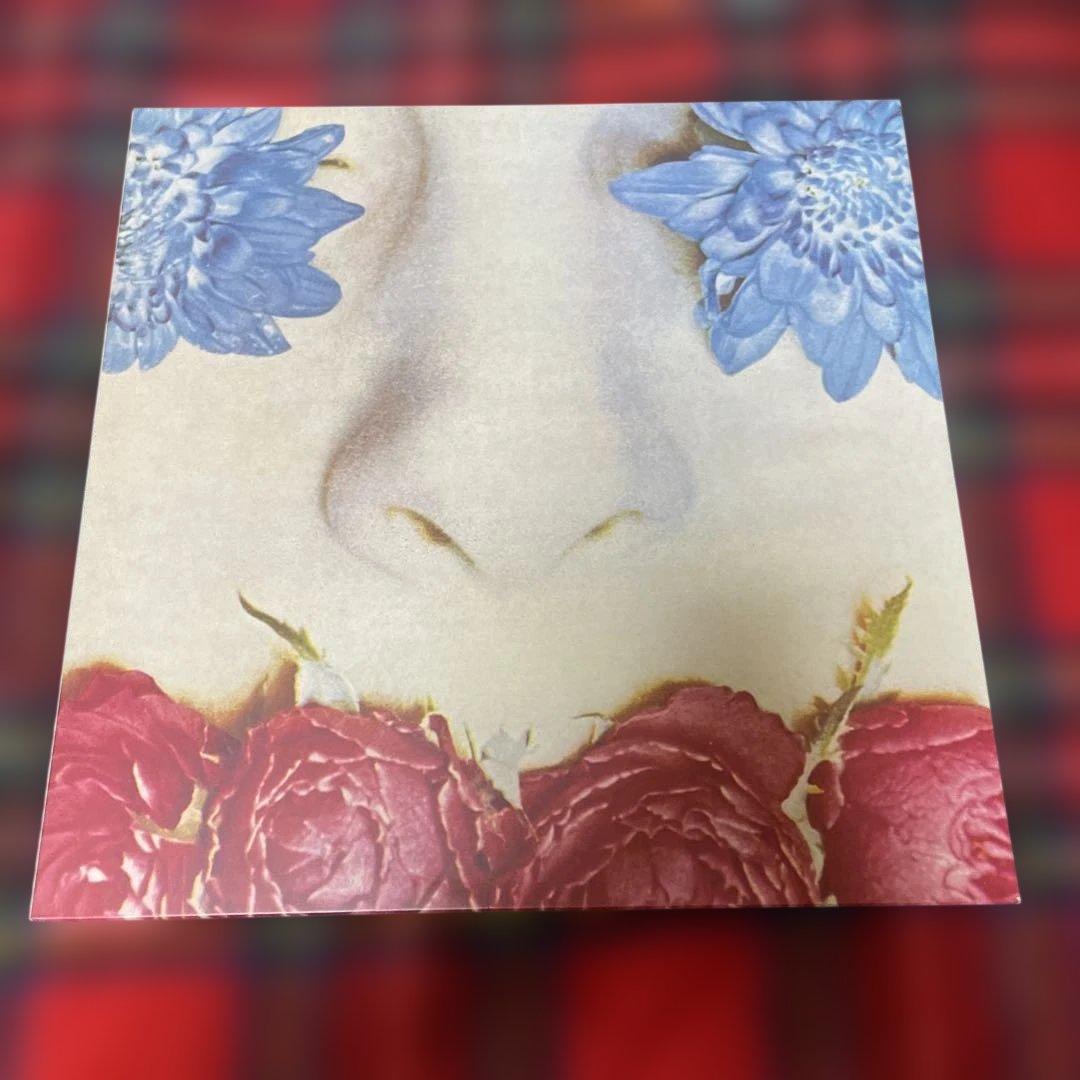 SULK / Graceless UK盤 LPレコード シューゲイザー 希少盤