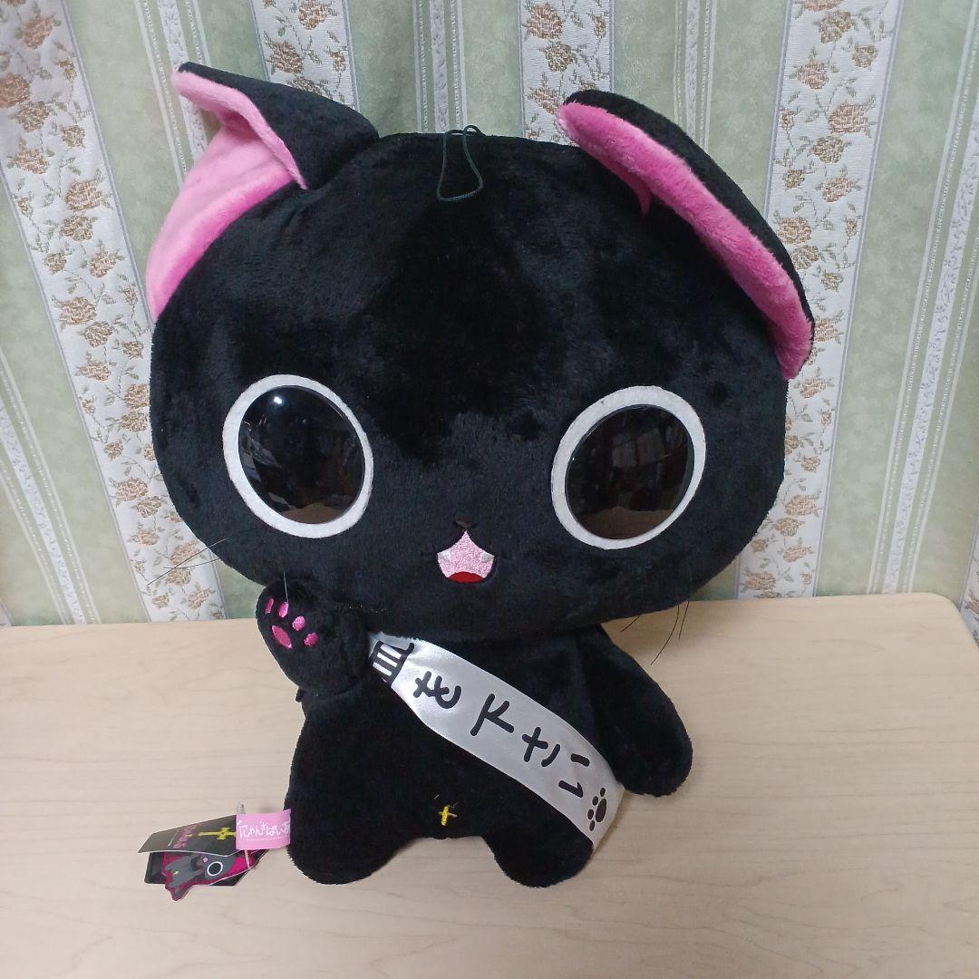 【未使用】にゃんぱいあ 茶々丸 にゃてんし 10点 詰め合わせセット