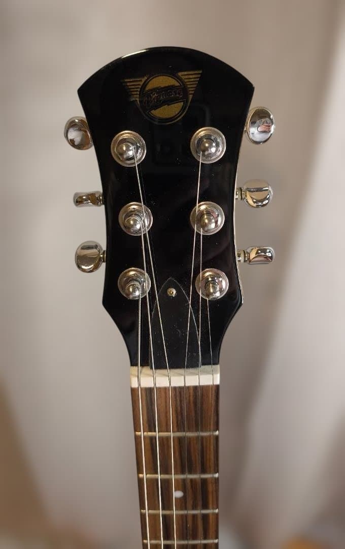 【オマケ多数】Pignose PGG-200 SB