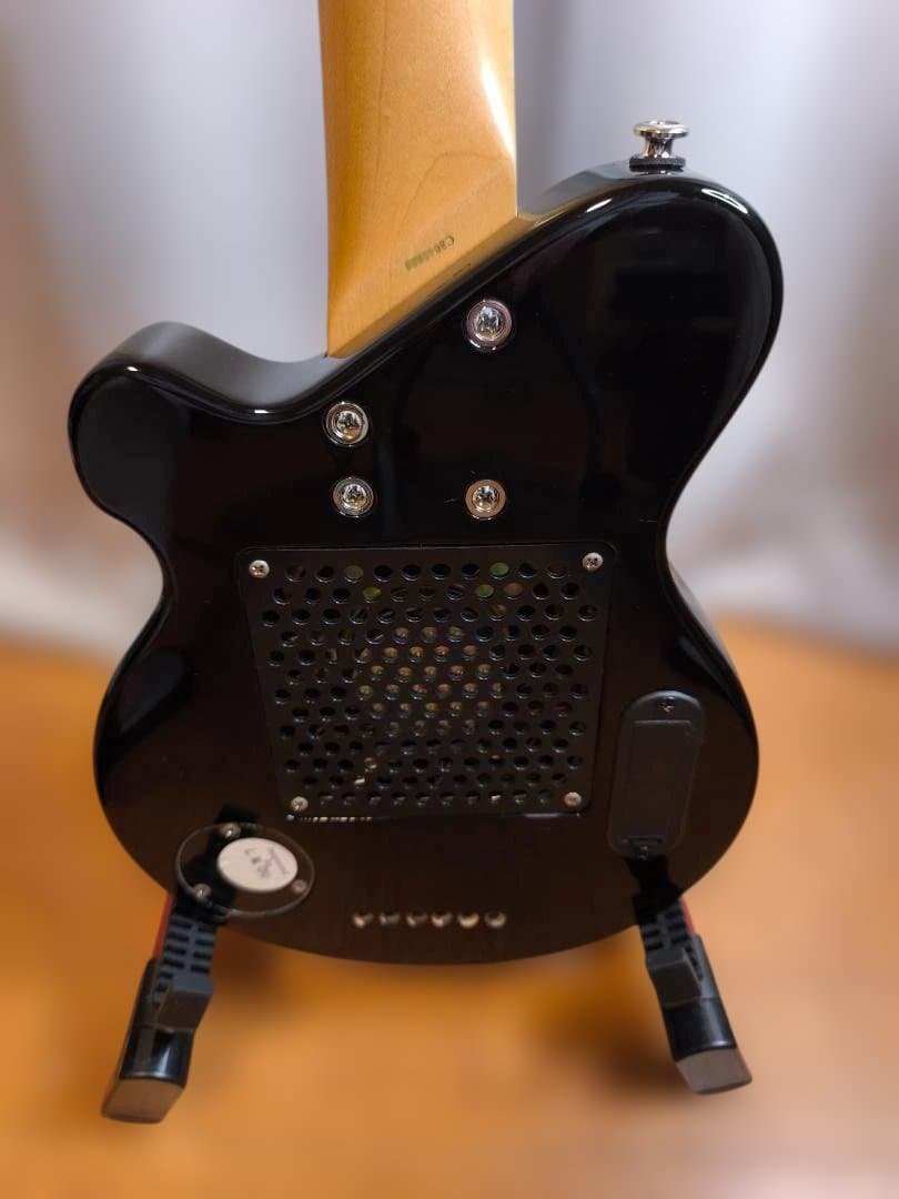 【オマケ多数】Pignose PGG-200 SB