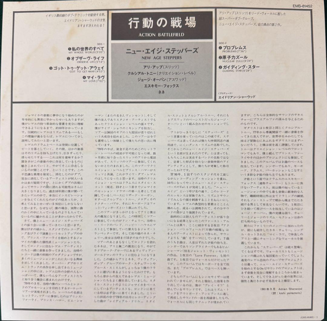 国内盤　THE NEW AGE STEPPERS レコード　盤極美品