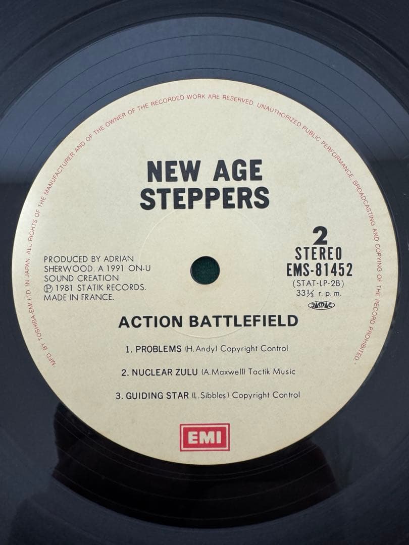 国内盤　THE NEW AGE STEPPERS レコード　盤極美品
