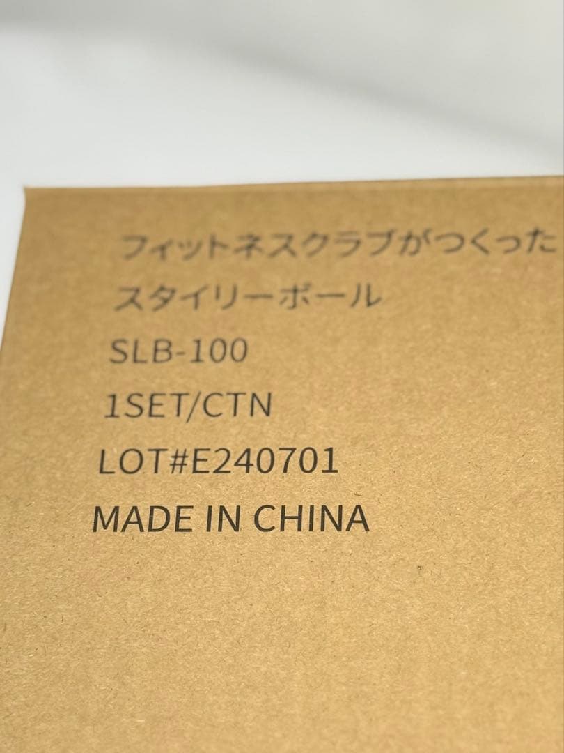 スタイリーボール/東急スポーツオアシス/ストレッチサポートカバー付