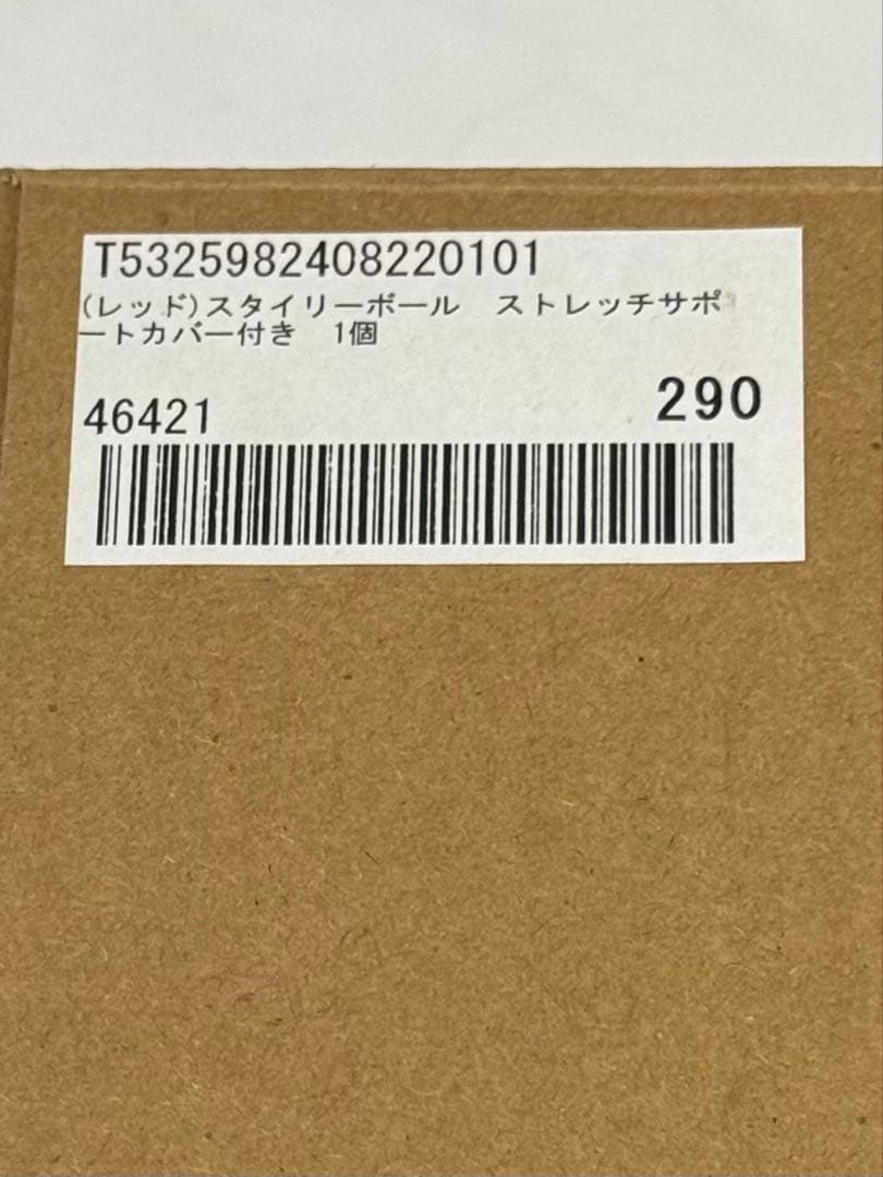 スタイリーボール/東急スポーツオアシス/ストレッチサポートカバー付
