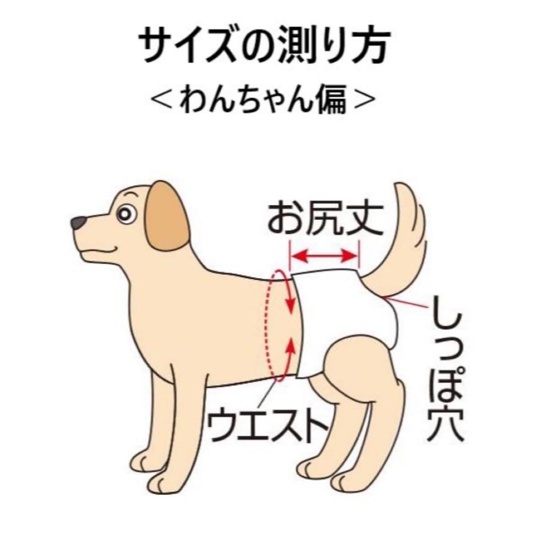 PEPPYうんぽパンツ　M29枚