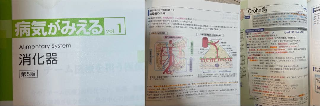 【12冊セット】病気がみえるvol1-11＋公衆衛生がみえる