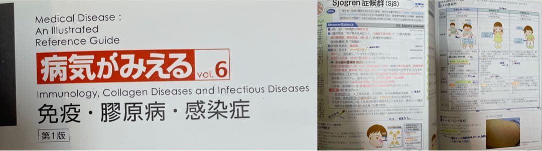 【12冊セット】病気がみえるvol1-11＋公衆衛生がみえる