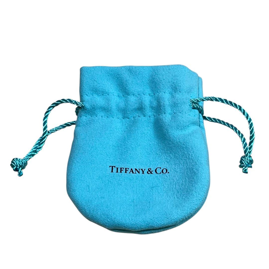 TIFFANY &Co. ティファニー 地球儀 アース カフス シルバー925
