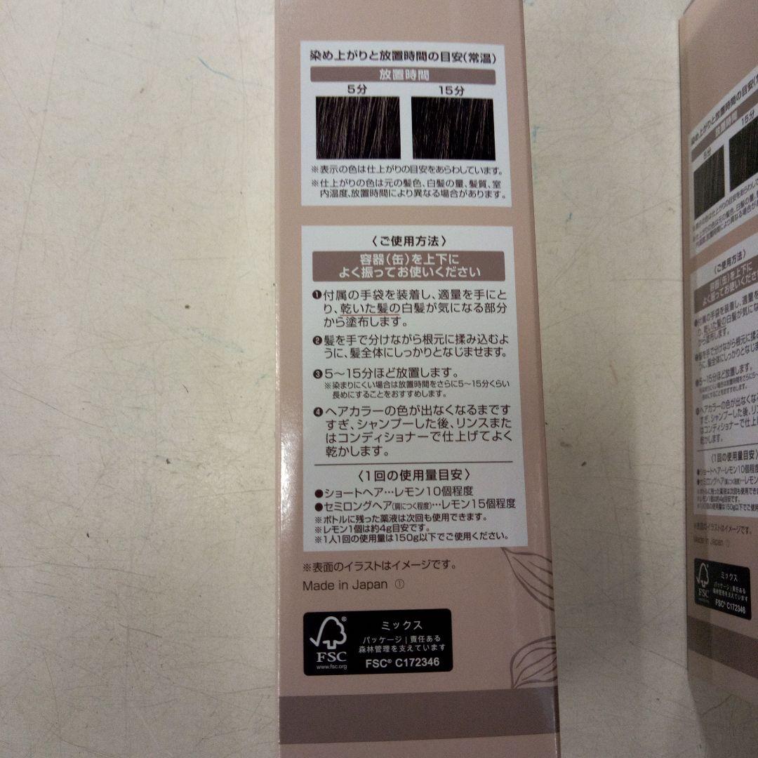 ÉCLAT ボタニカルエアカラーリングフォーム ダークブラウン
