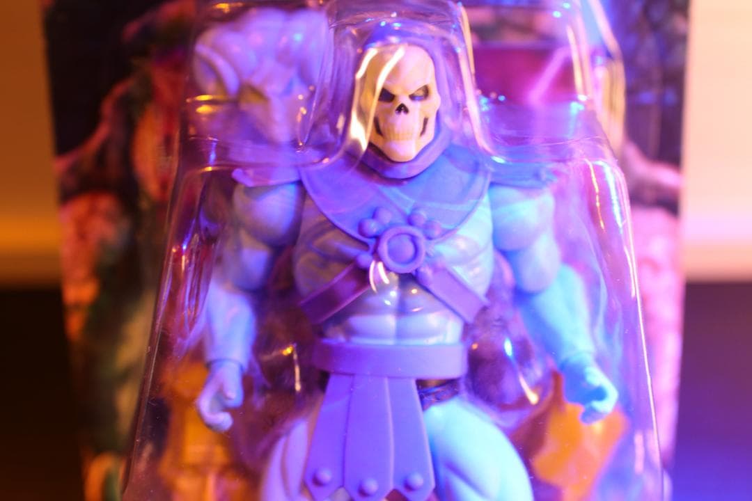 スケルター,Motu, カートゥーン14cm, ヘッド2種＋武器2種品未開封