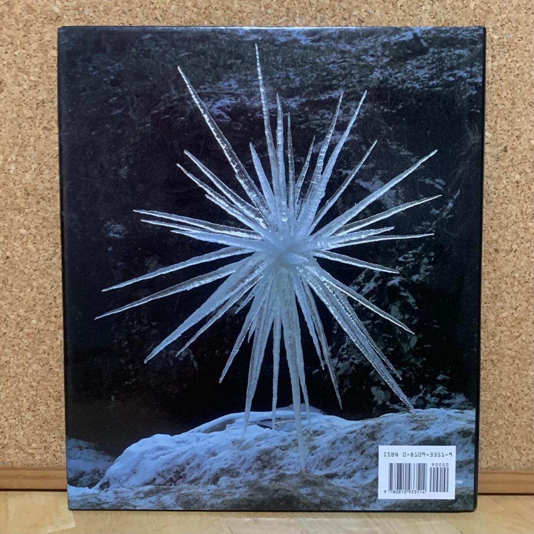 洋書 ANDY GOLDSWORTHY / A Collaboration
