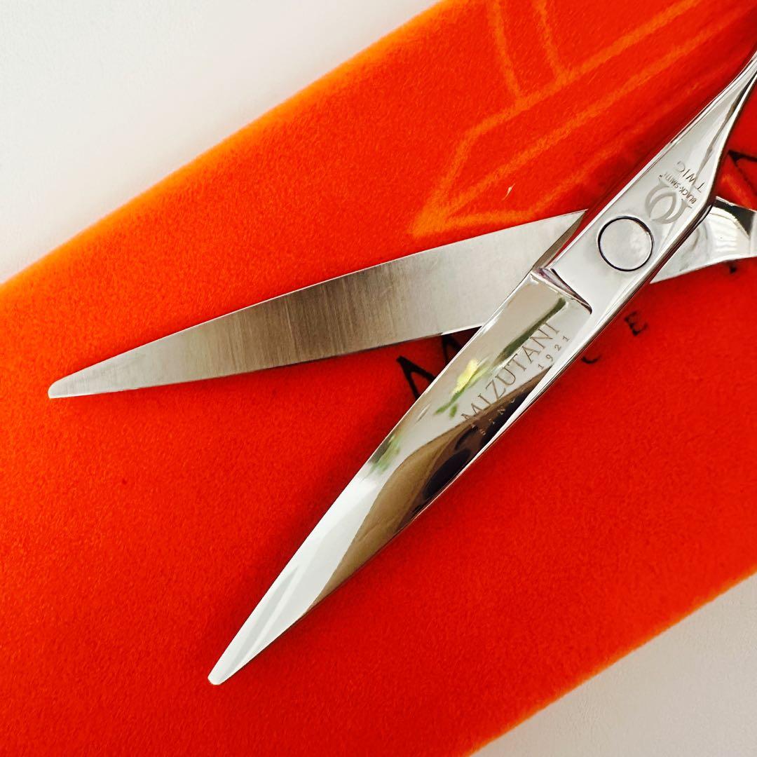ミズタニシザー TWIG 6.0 カットシザー