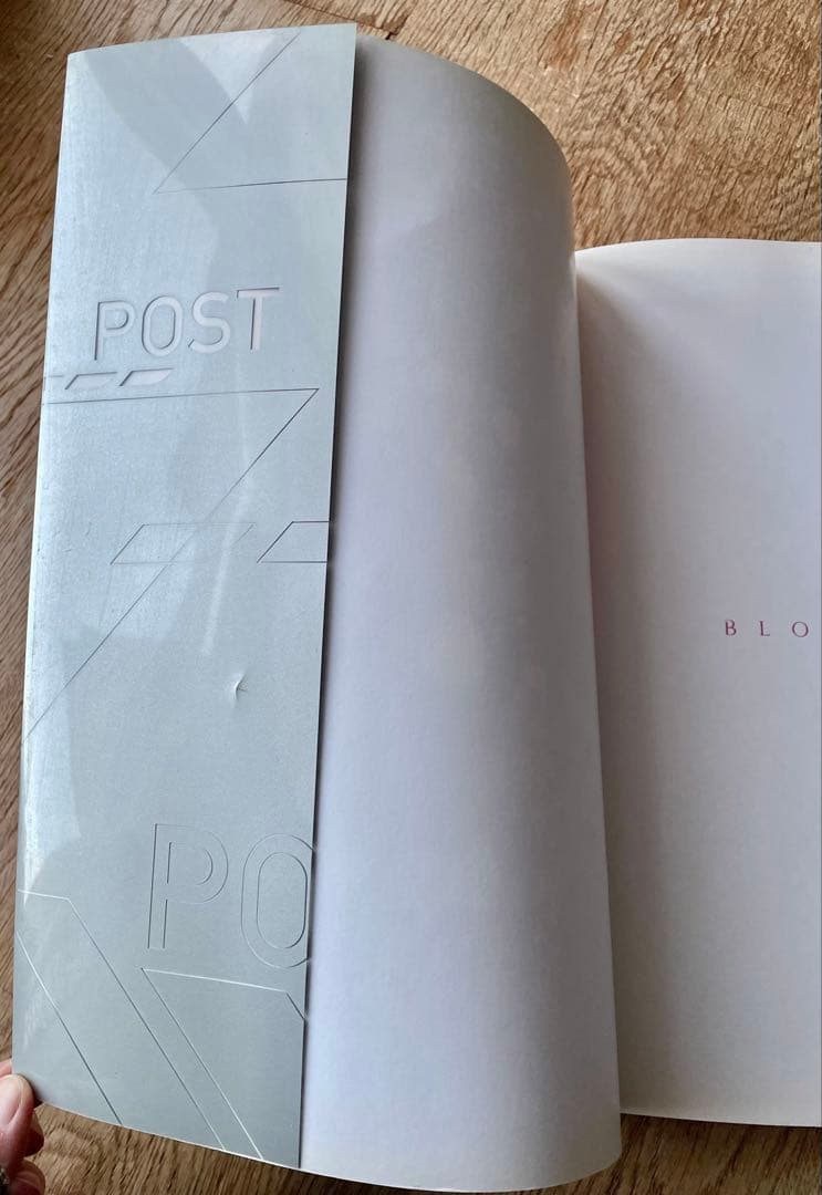 Björkビョーク 写真集1995 BLOOMSBURY 貴重 レア