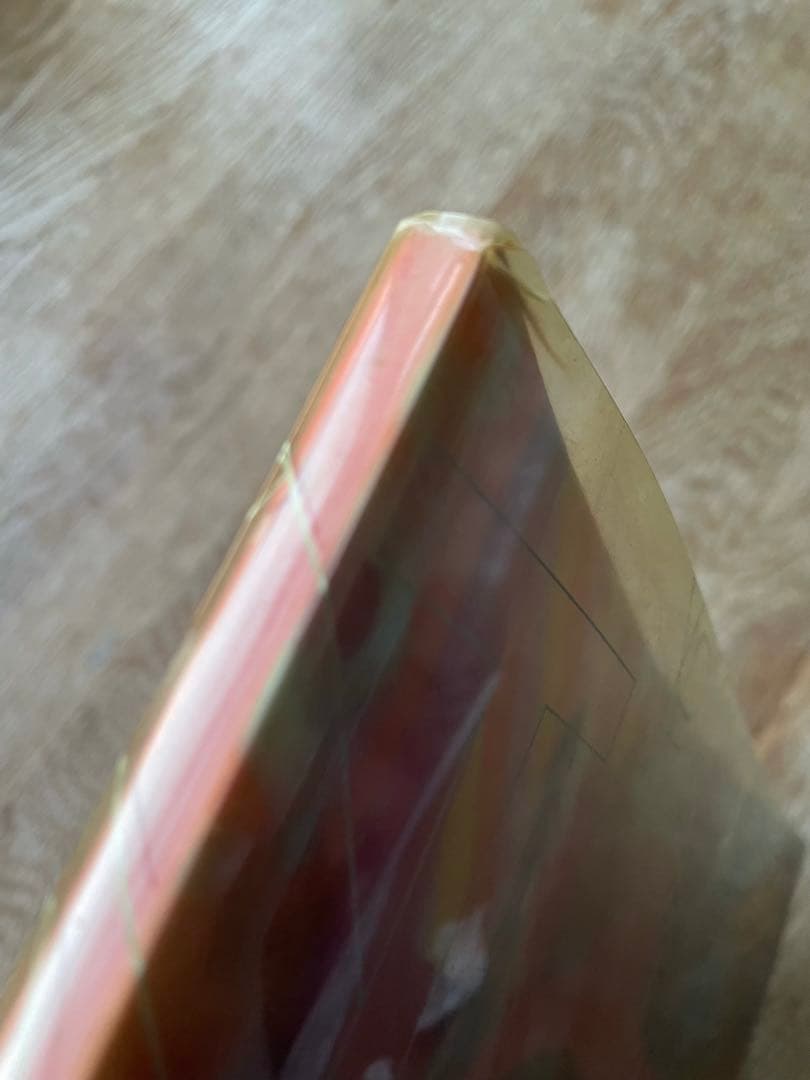 Björkビョーク 写真集1995 BLOOMSBURY 貴重 レア