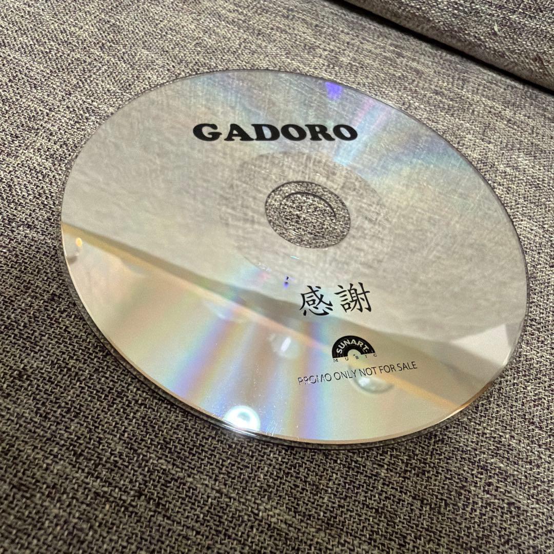 GADORO 感謝 花水木アルバム特典cd