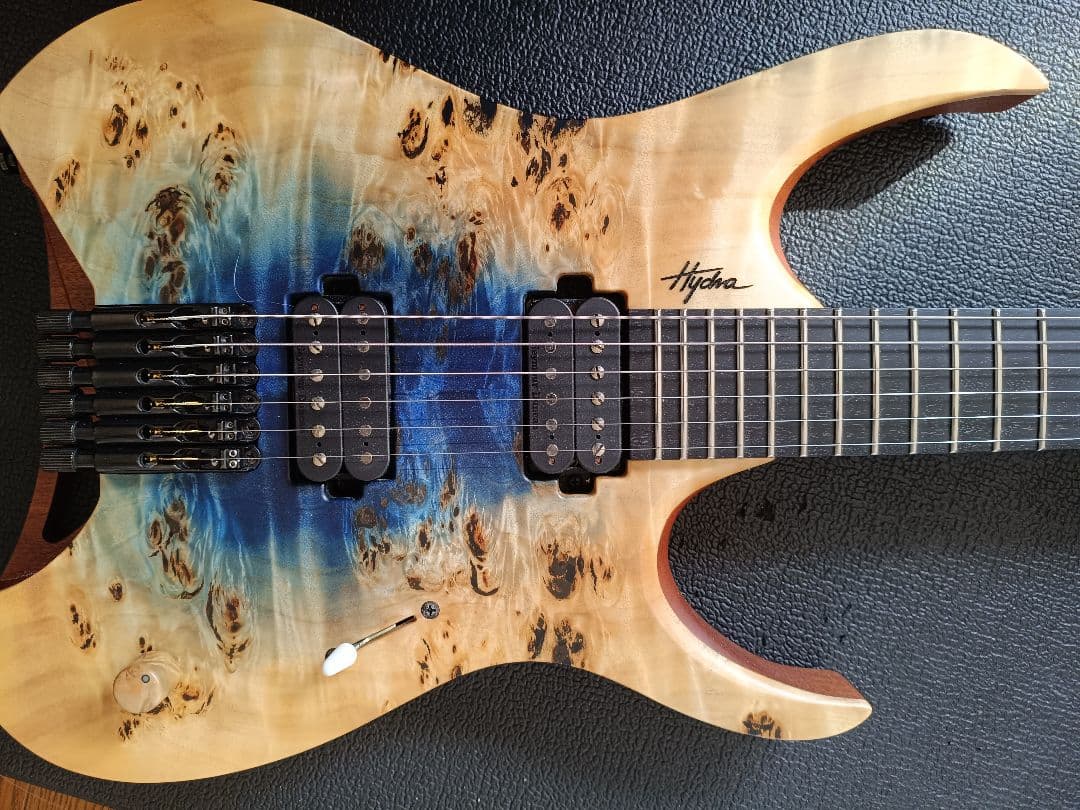 ギター Mayones Hydra