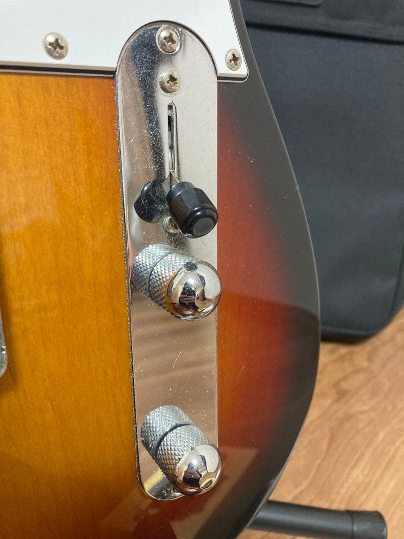 フジゲン(FgN) テレキャス NTL101-3TS