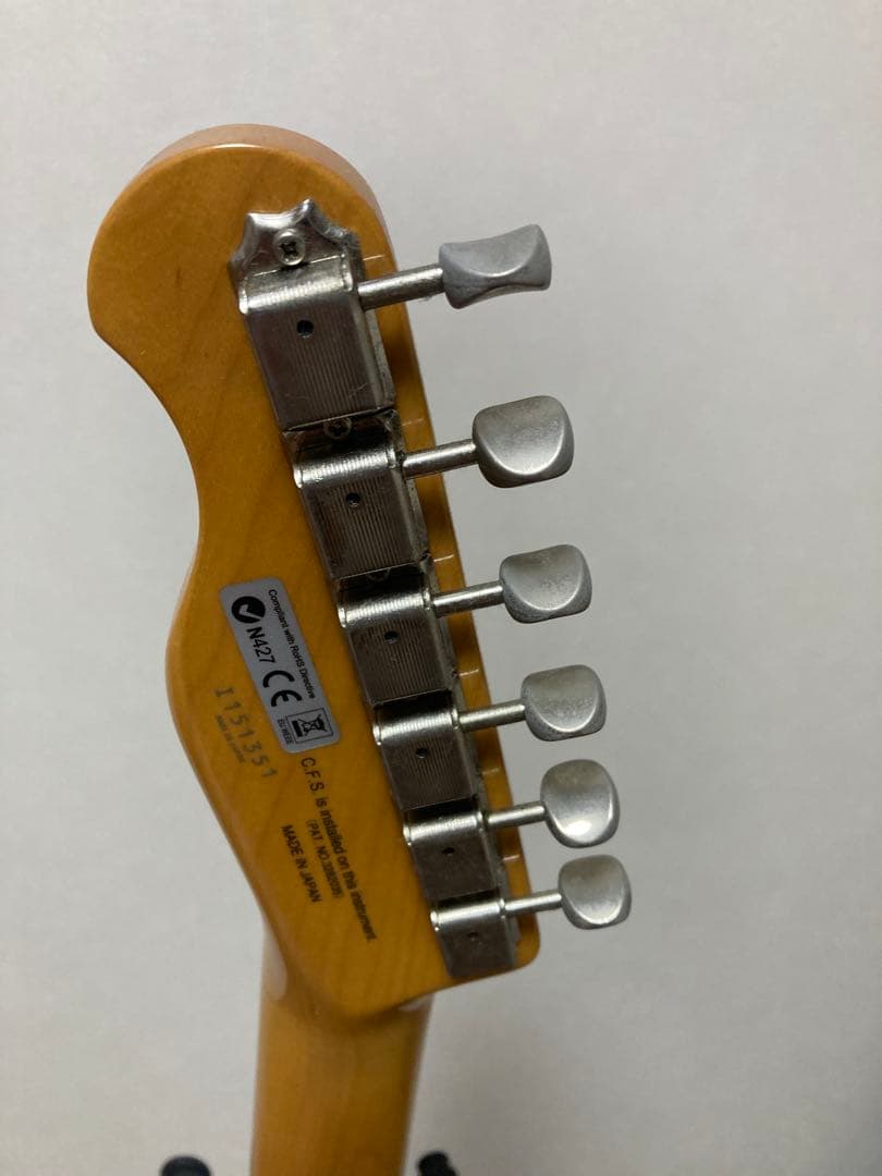 フジゲン(FgN) テレキャス NTL101-3TS