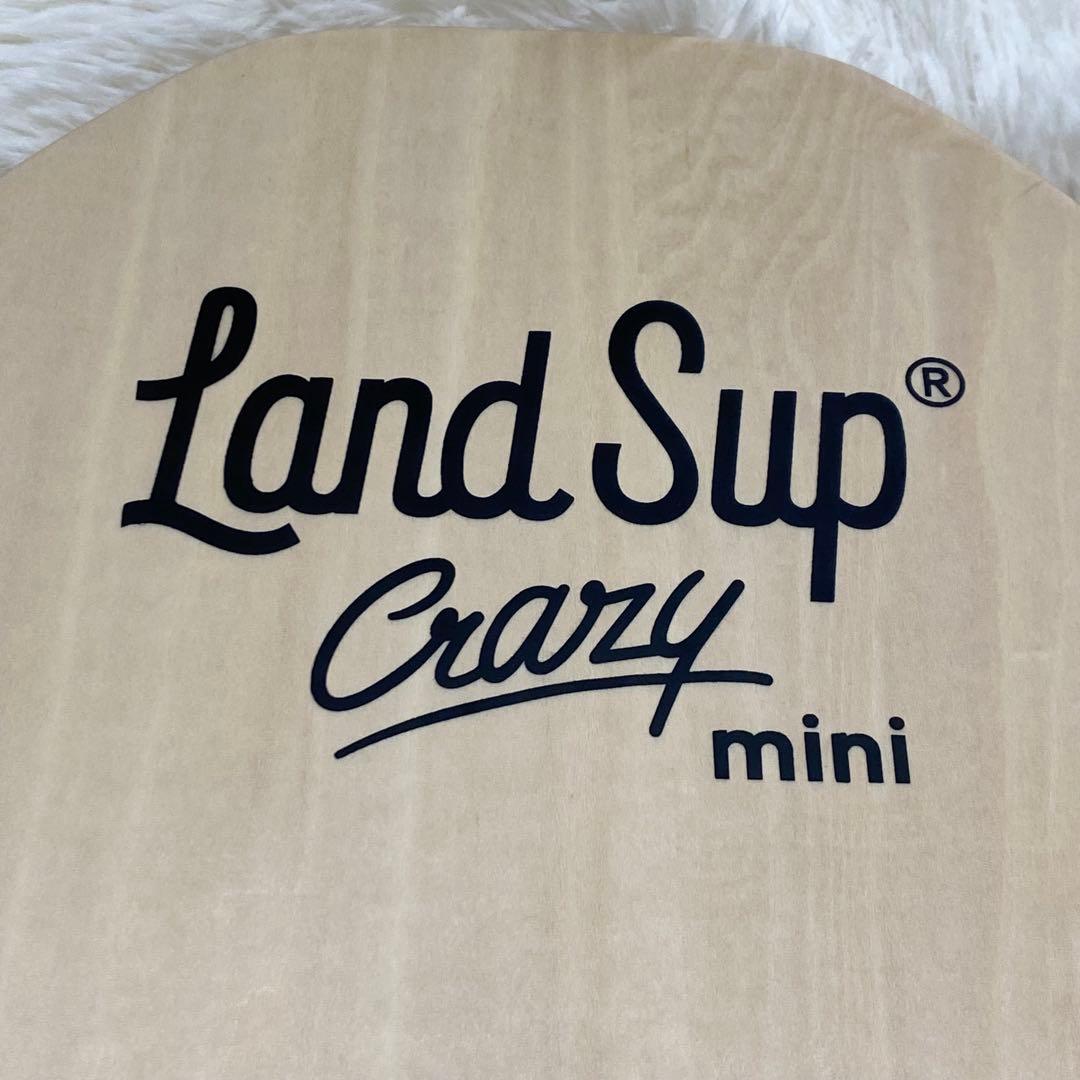 【美品】Land Sup Crazy mini サーフィン バランスボード