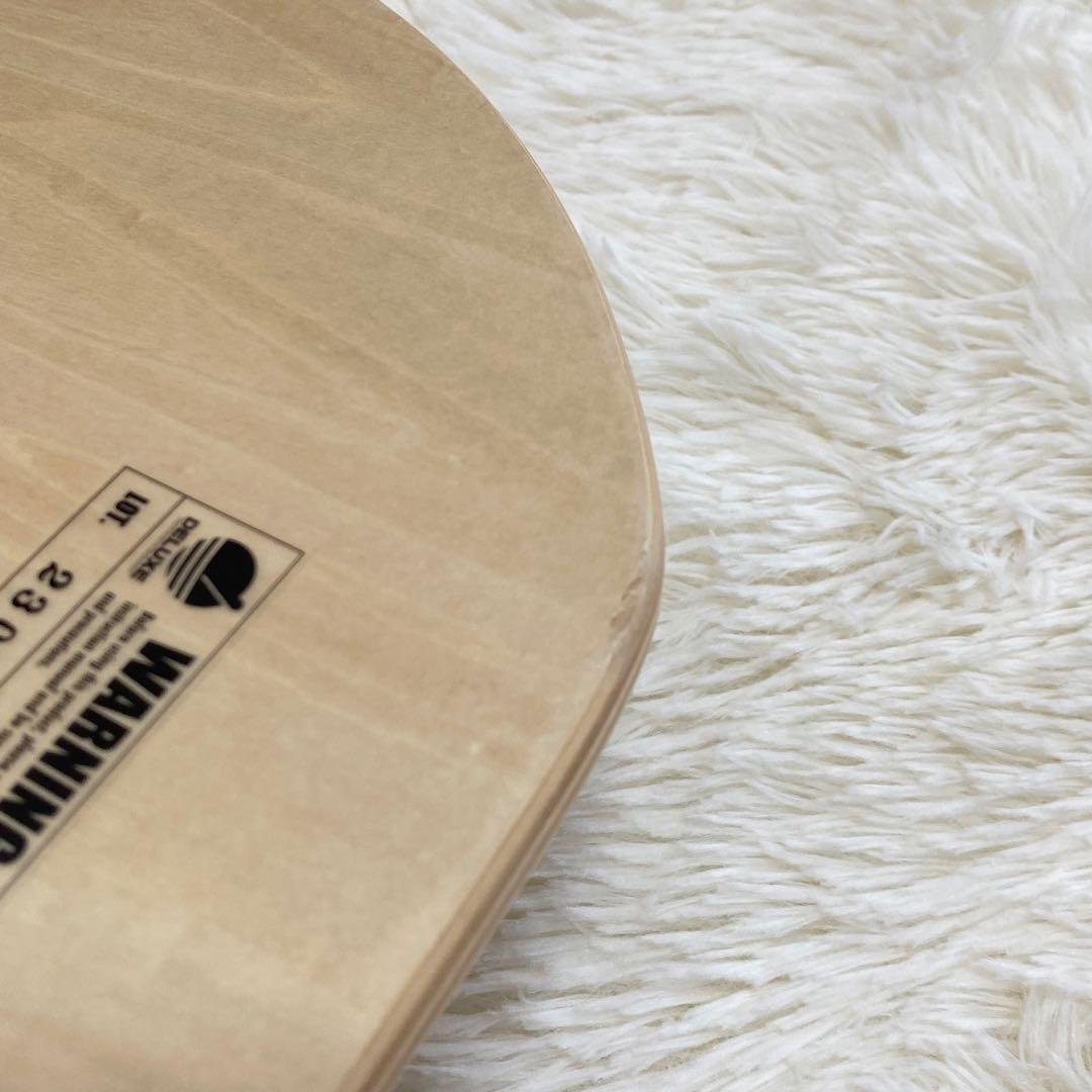 【美品】Land Sup Crazy mini サーフィン バランスボード