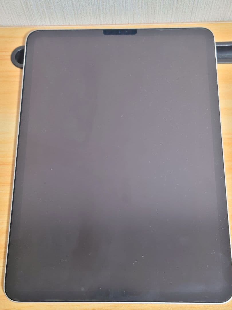 iPad Pro 11インチ 第1世代 256GB wifiモデル シルバー