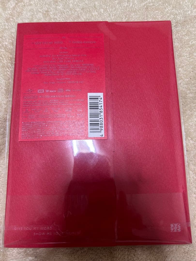 【FC限定】ExWHYZ GIVE YOU MY WORD mikinaセット