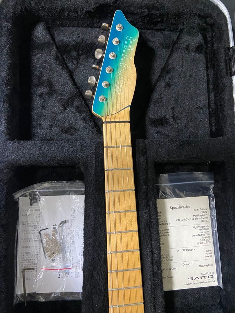 SAITO GUITARS S-622 Morning Glory