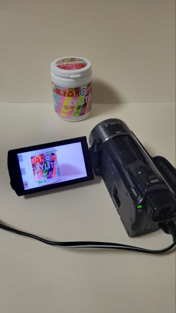 SONY ハンディカム HDR-CX550V