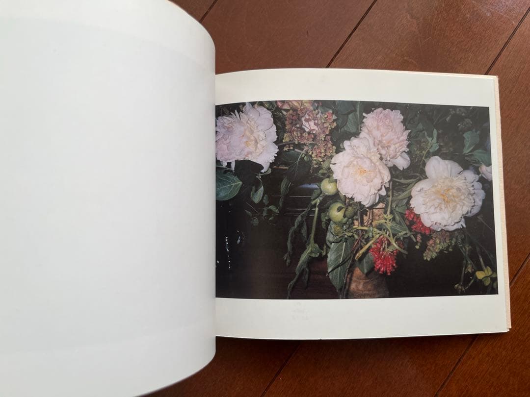 絶版　Sofia Coppola 初期 初版　写真集