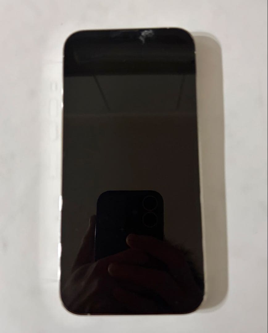 Apple iPhone 13 Promax シルバー　本体
