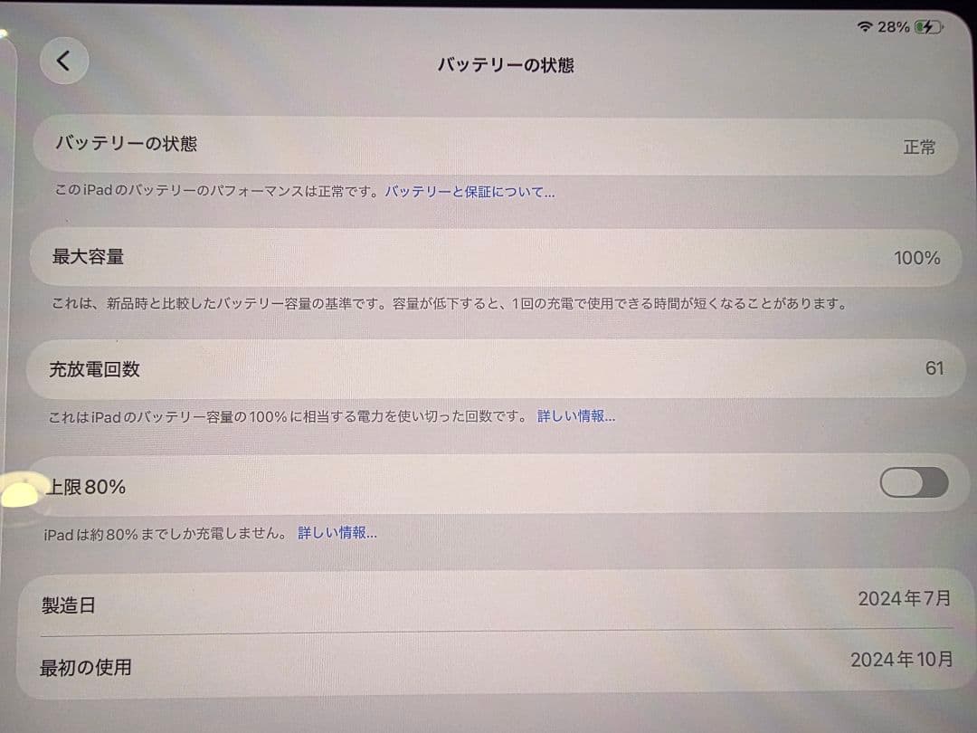 11インチ iPad Pro (M4)256GB バッテリー劣化無し(100%)