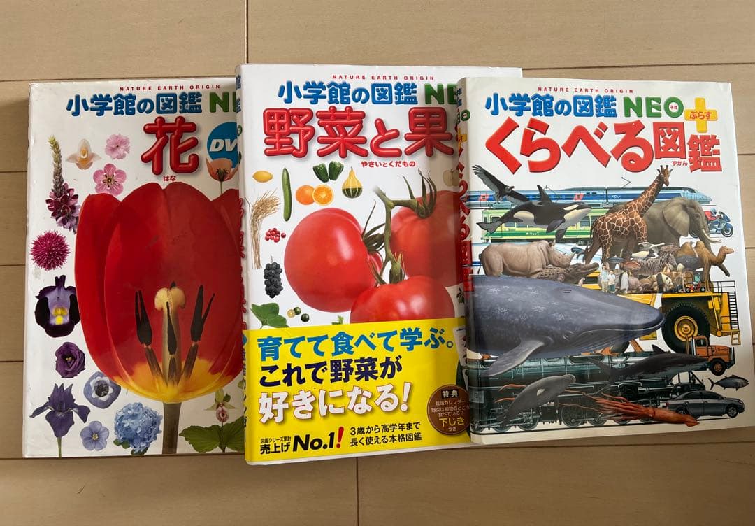 NEOシリーズ 図鑑12冊