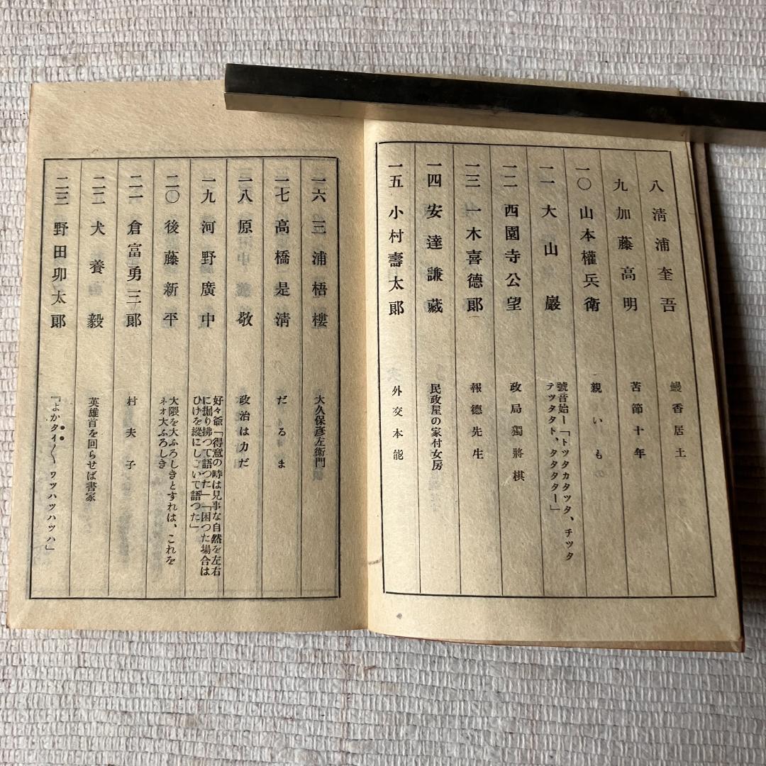 ≪値下げ‼≫【稀少・和装本】岡本一平 / 新水や空・政治家之部