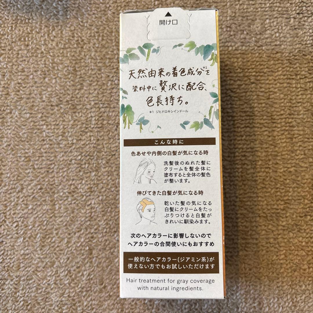 Blauné ダークブラウン　カラートリートメント つけかえ用　155g×4個
