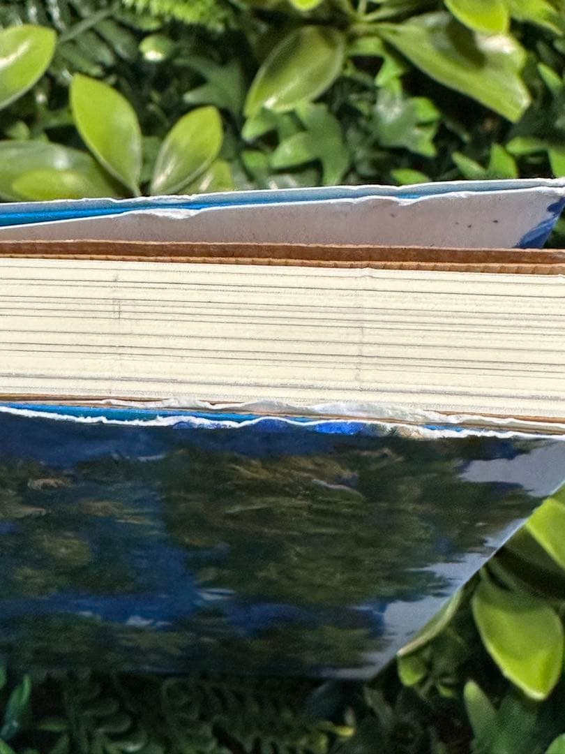 みんなのミシマガジン 森田真生 2冊セット サイン入り