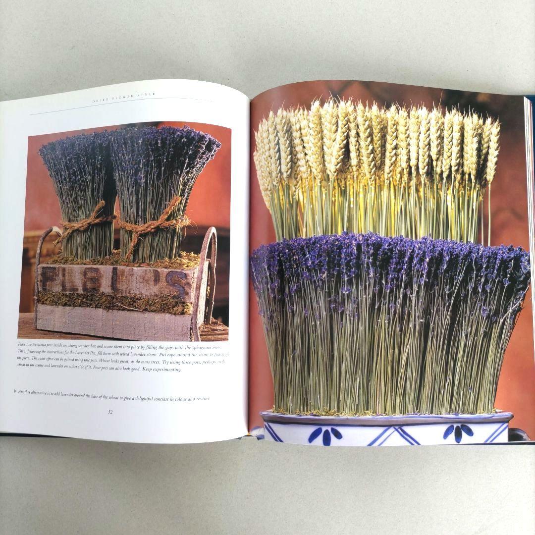 Dried Flower Style:Cameron Shaw/ドライフラワー