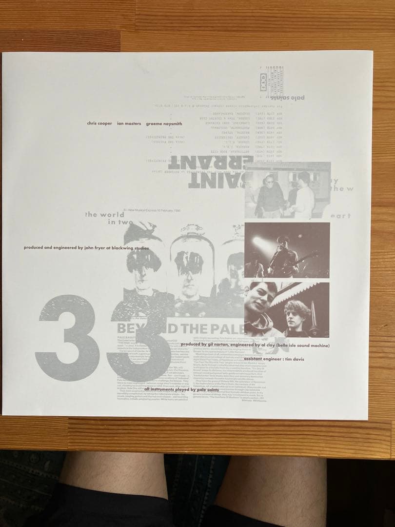 洋楽 Pale Saints / The Comfort Of Madness 2LP