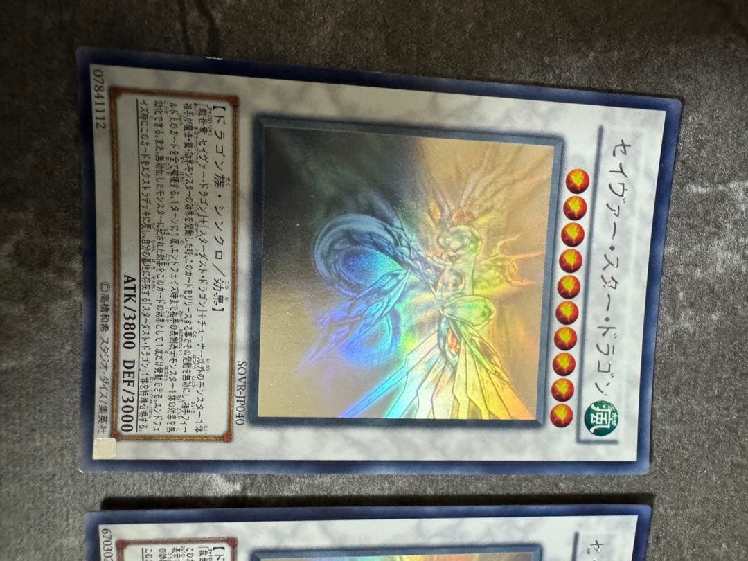 セイヴァー・スター・ドラゴン　デモン・ドラゴン　ホロ