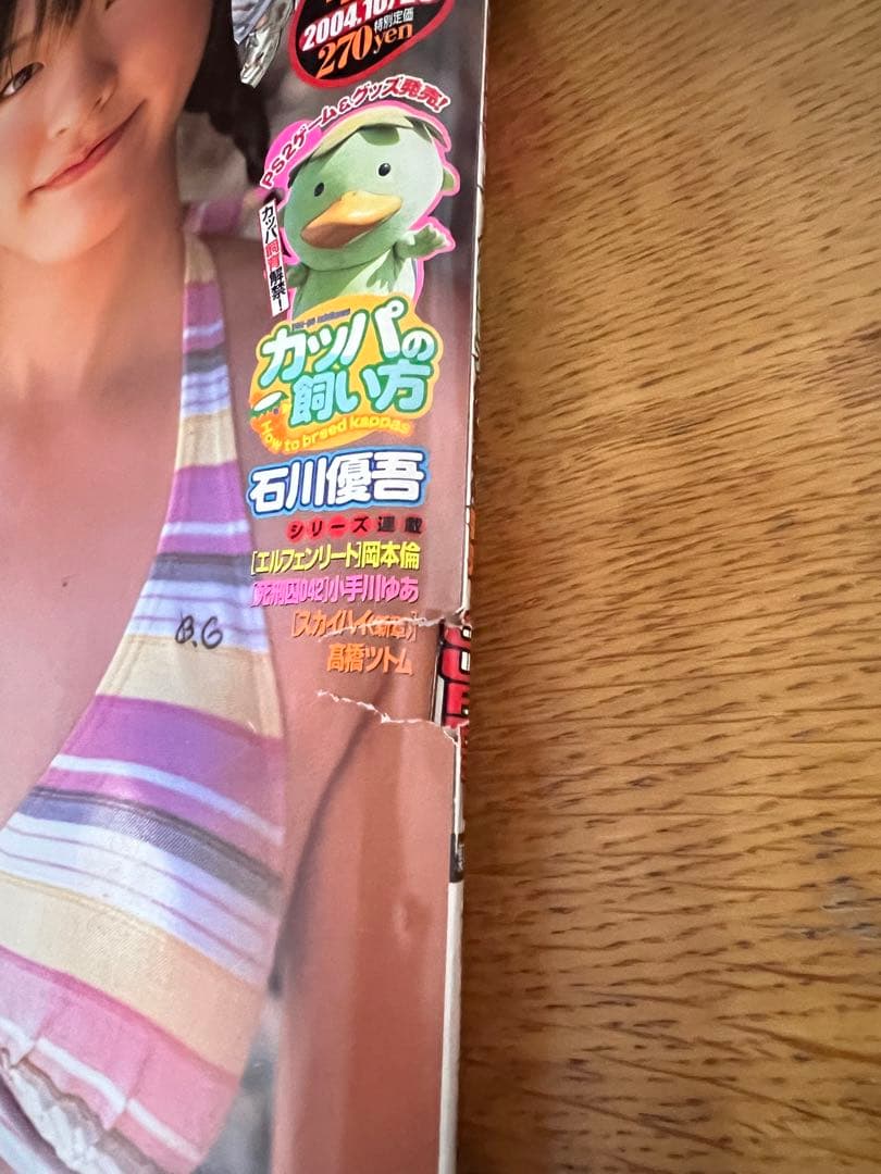 希少★週刊ヤングジャンプ 2004年46号 表紙：新垣結衣さん ガッキー