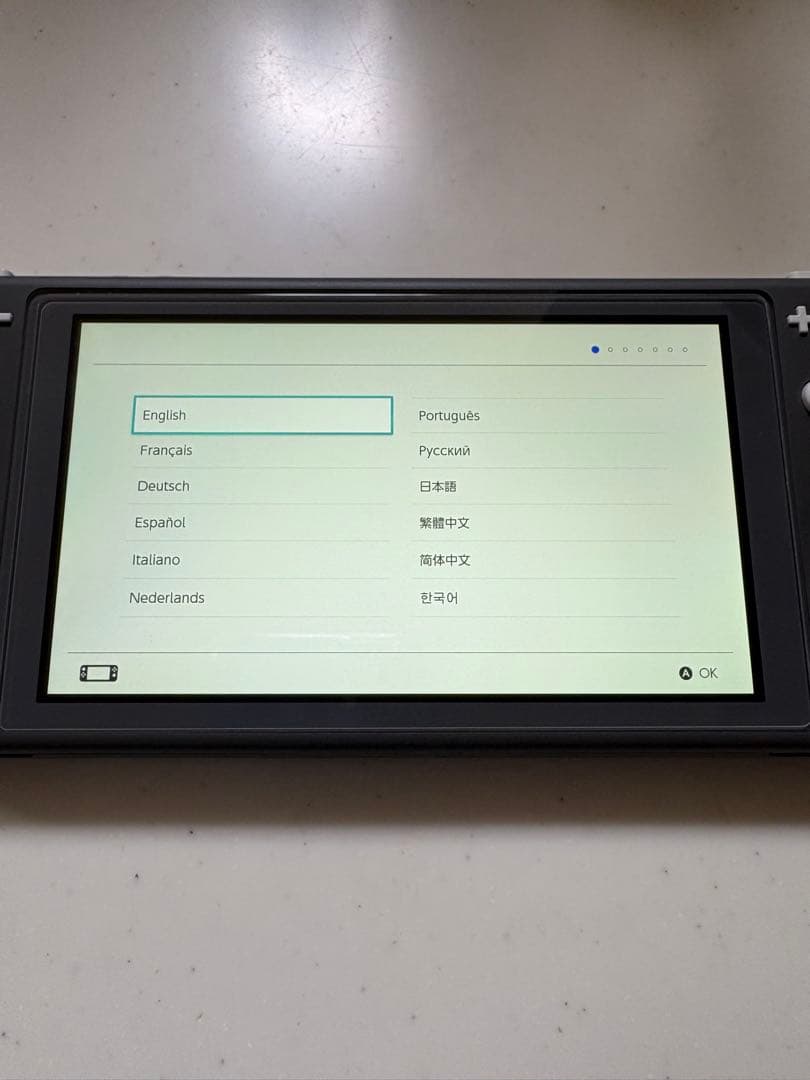 Switch Lite グレー 動作良好 ソフト(モンハンライズ)付 本体のみ