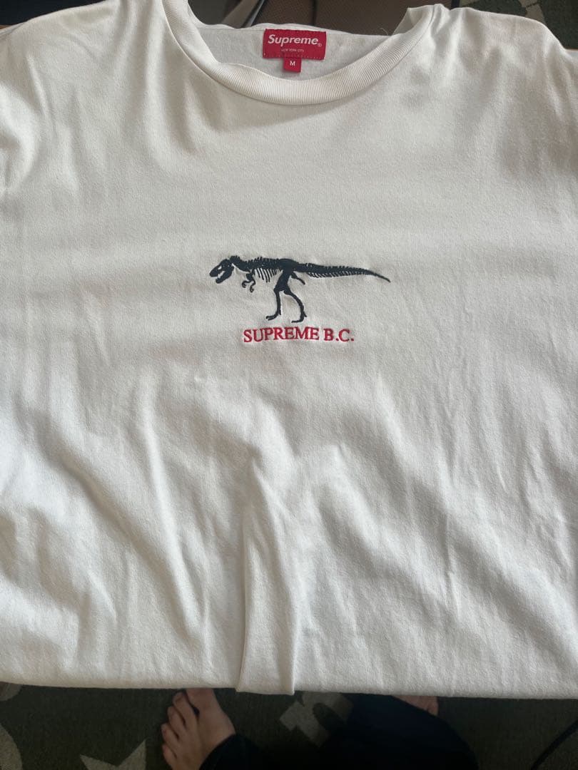 Supreme 恐竜グラフィック Tシャツ M